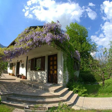 Apartma Bel Zaga Buitenkant foto